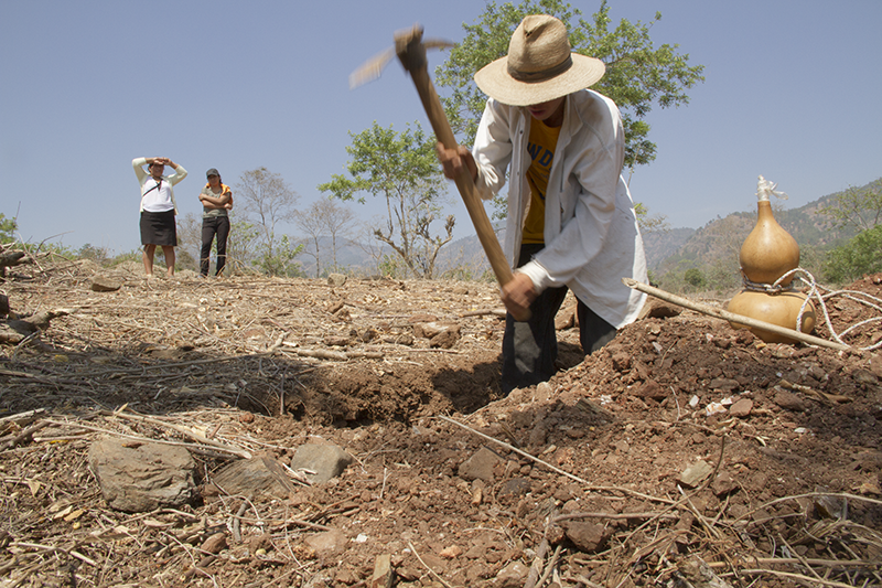 La sequía en el Corredor Seco de Centroamérica empeora, alerta la FAO