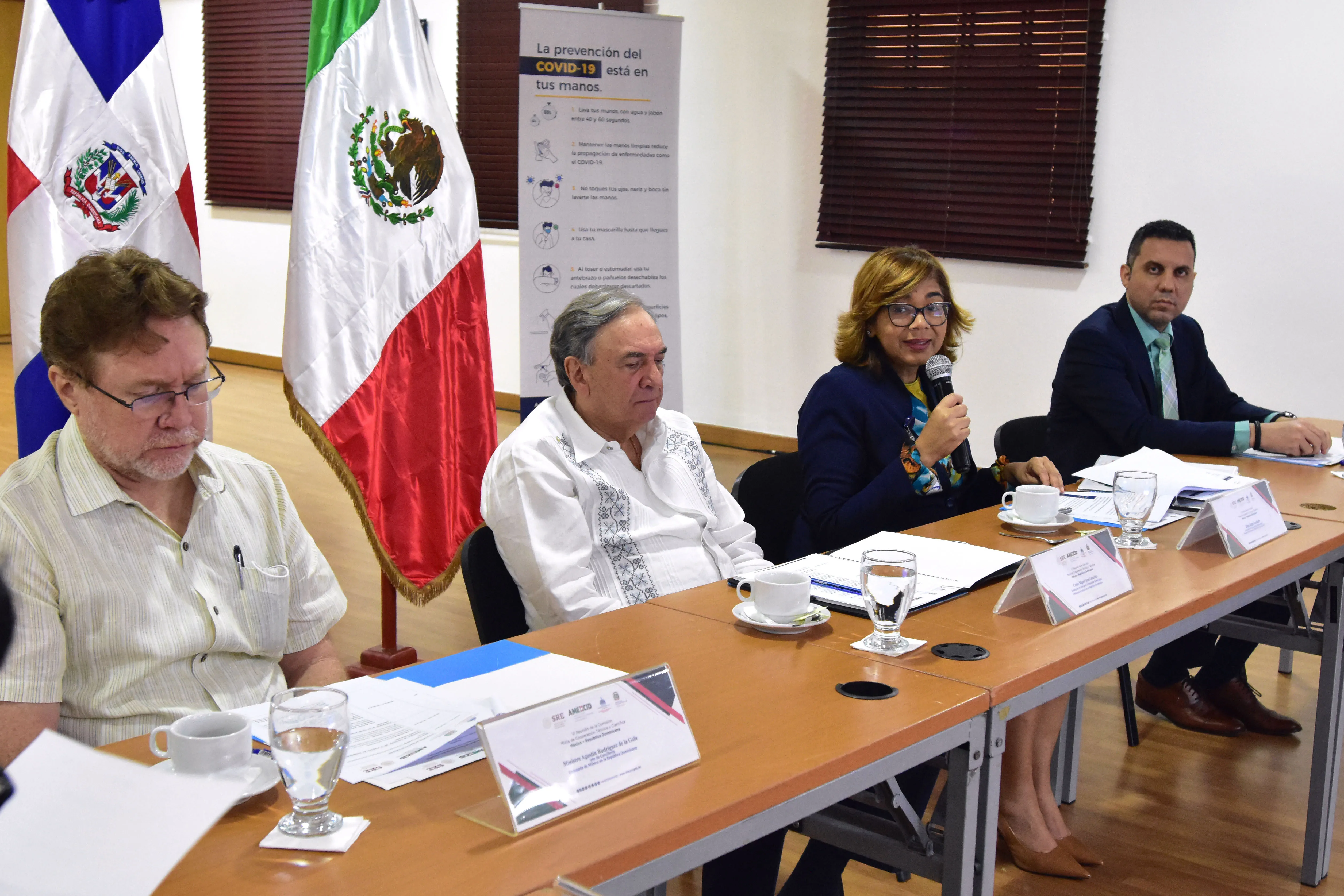 México y RD aprueban proyectos de cooperación técnica y científica
