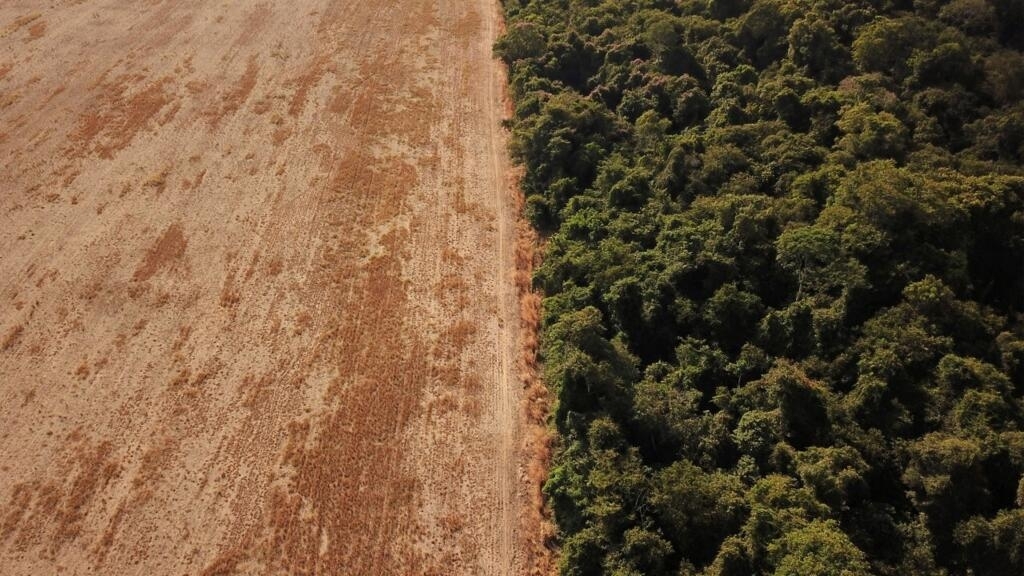 La Unión Europea cierra la puerta a las importaciones fruto de la deforestación