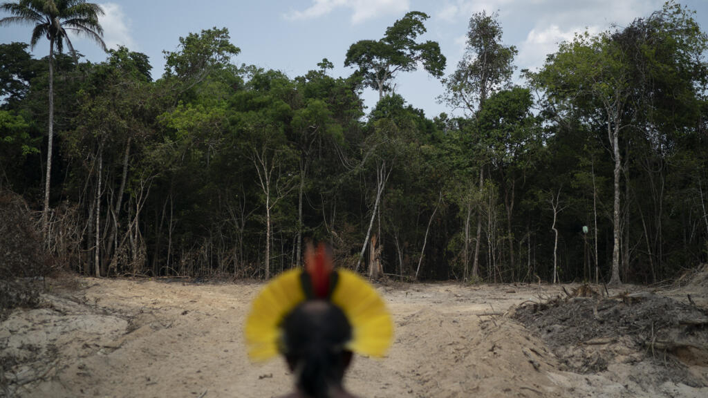 La lucha eterna de los pueblos indígenas por la Amazonía brasileña
