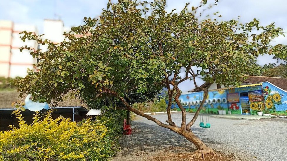 Un hombre mata a 4 niños con un hacha en un ataque a una guardería en Brasil