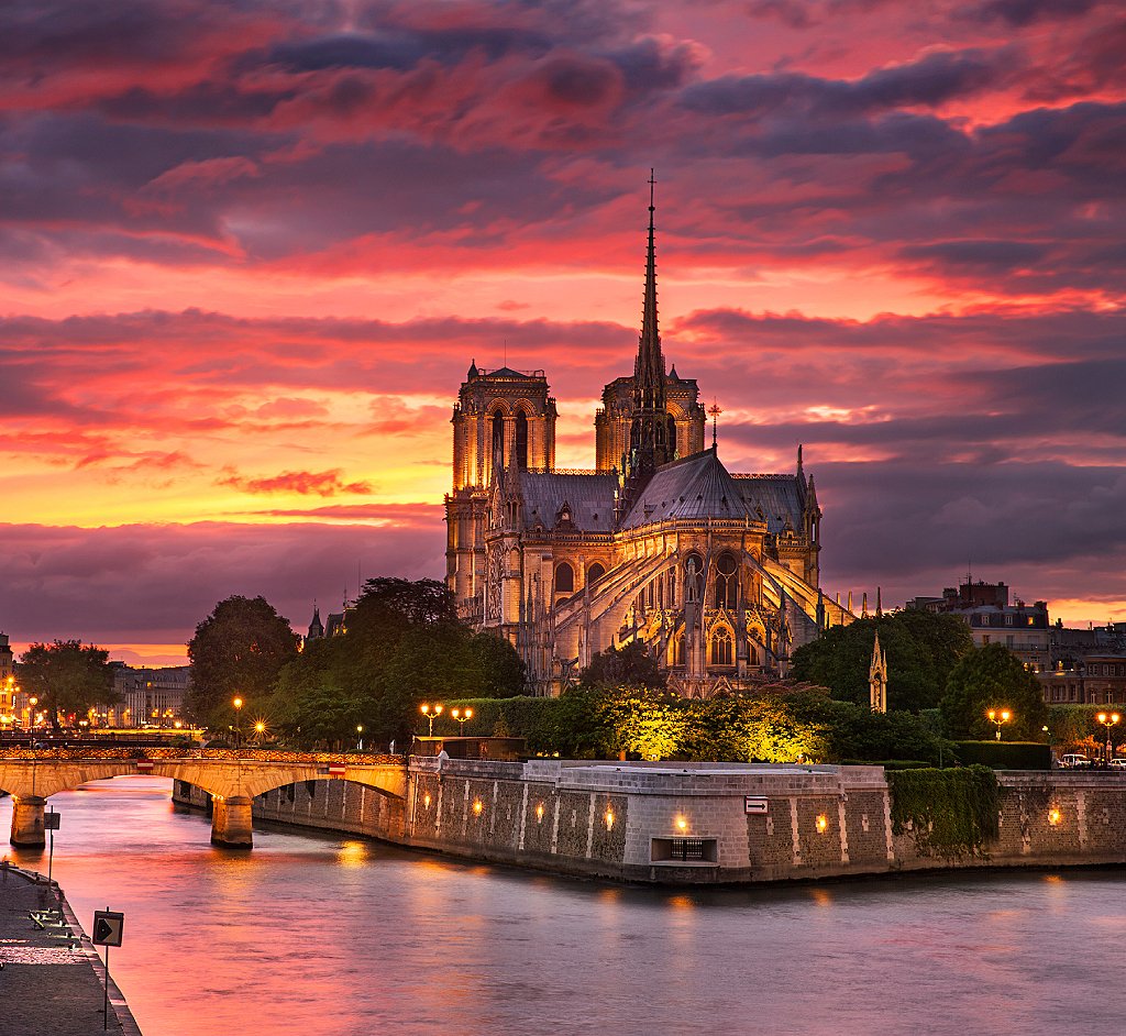 Las avanzadas técnicas medievales que usa París para restaurar la catedral de Notre Dame tras el incendio