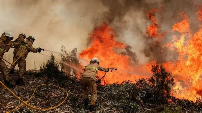 Abinader: bomberos forestales son los 