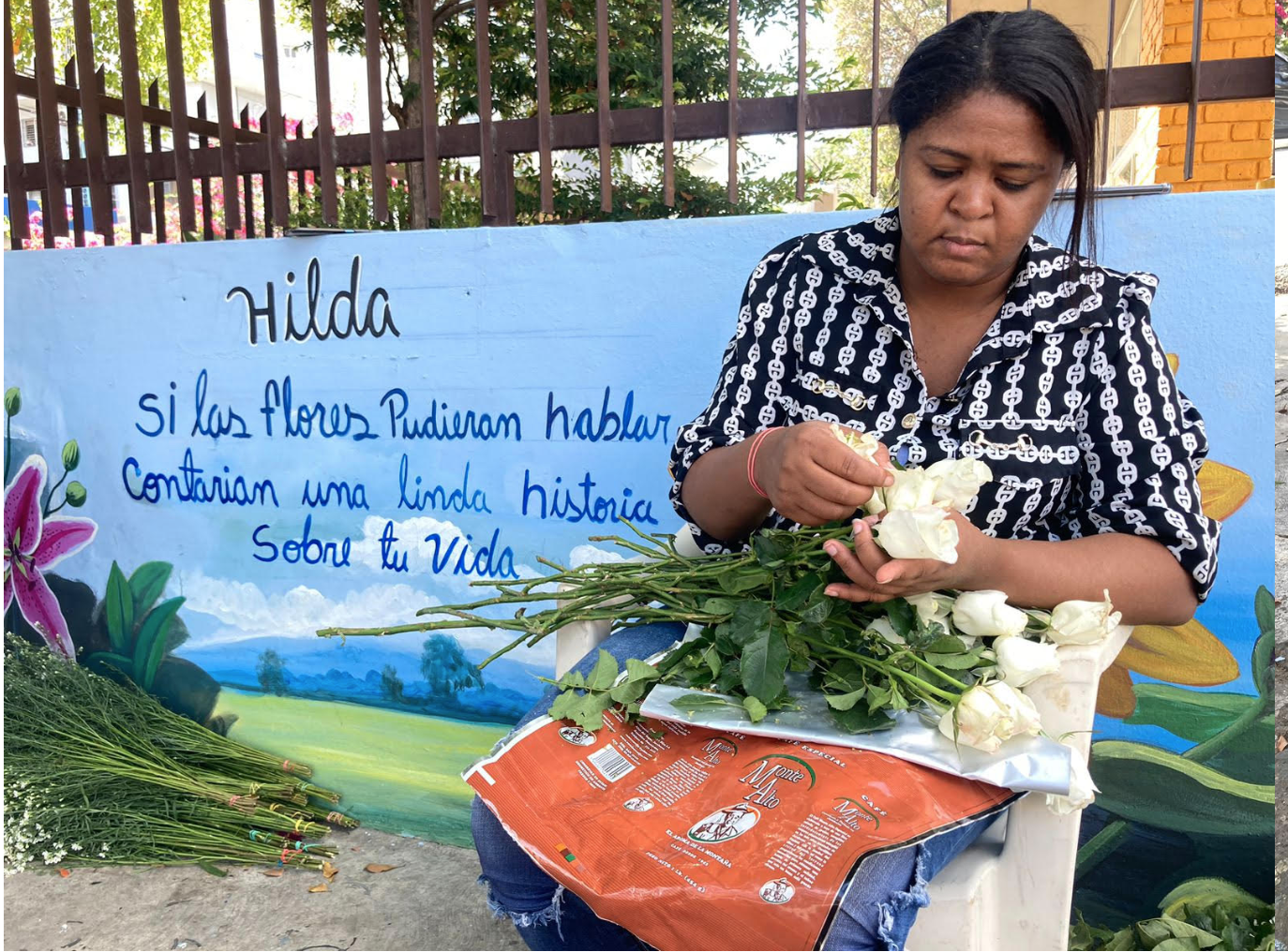 Gazcue dice adiós a su florera