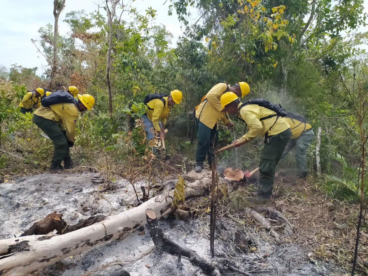 Detenidos supuestos responsables de incendios forestales