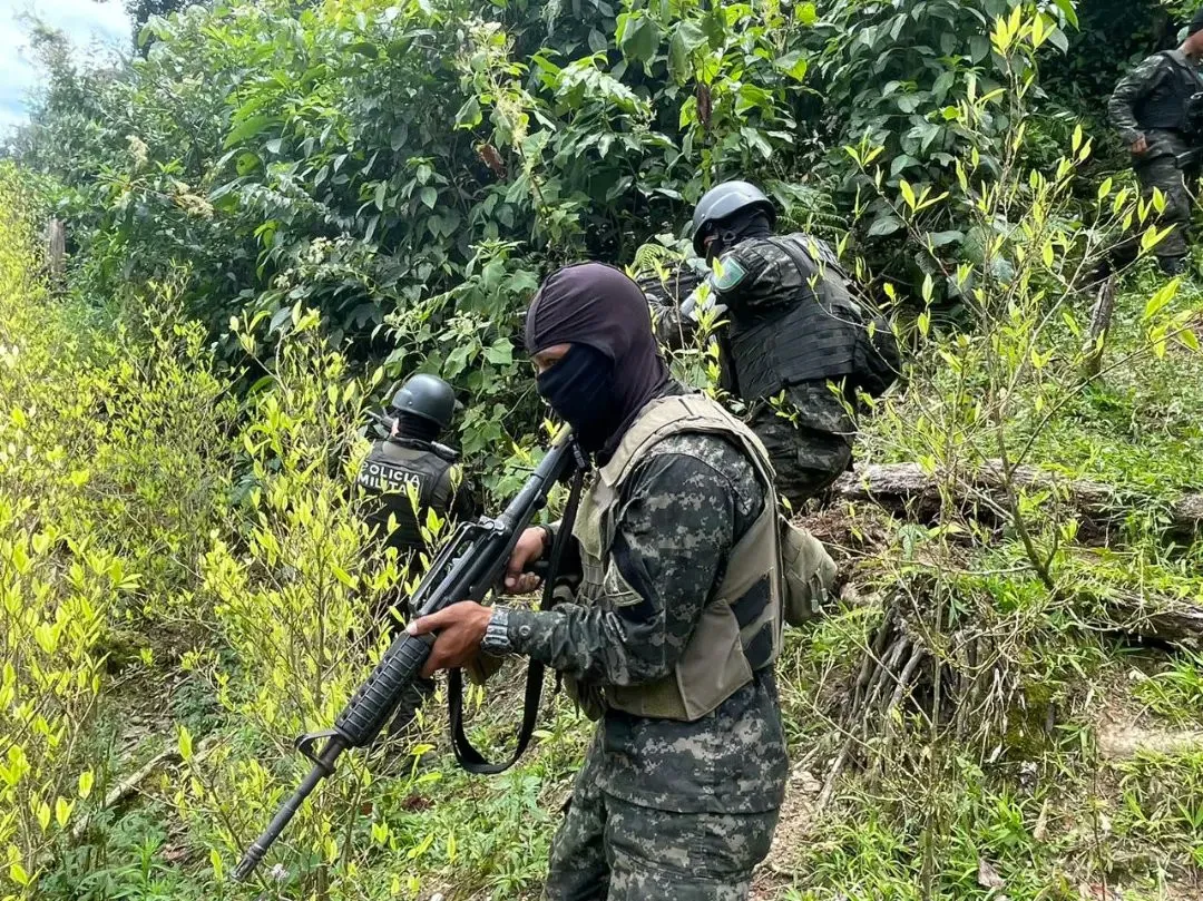 Honduras halla 297.000 arbustos de coca y un laboratorio para procesar drogas