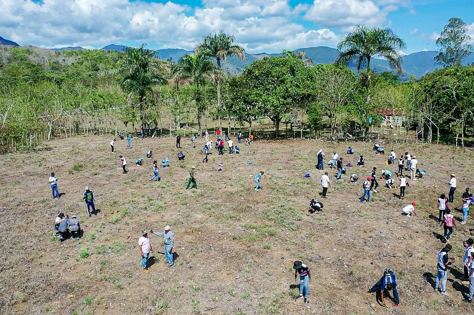 Artistas llaman a la ciudadanía a sembrar árboles para proteger el ambiente