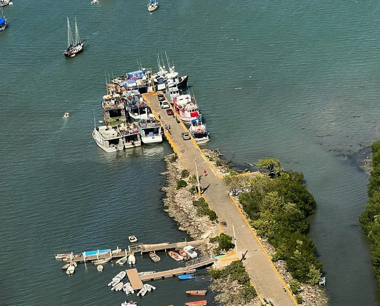 Denuncian embarcaciones pesqueras destruyen manglares en muelle de Luperón