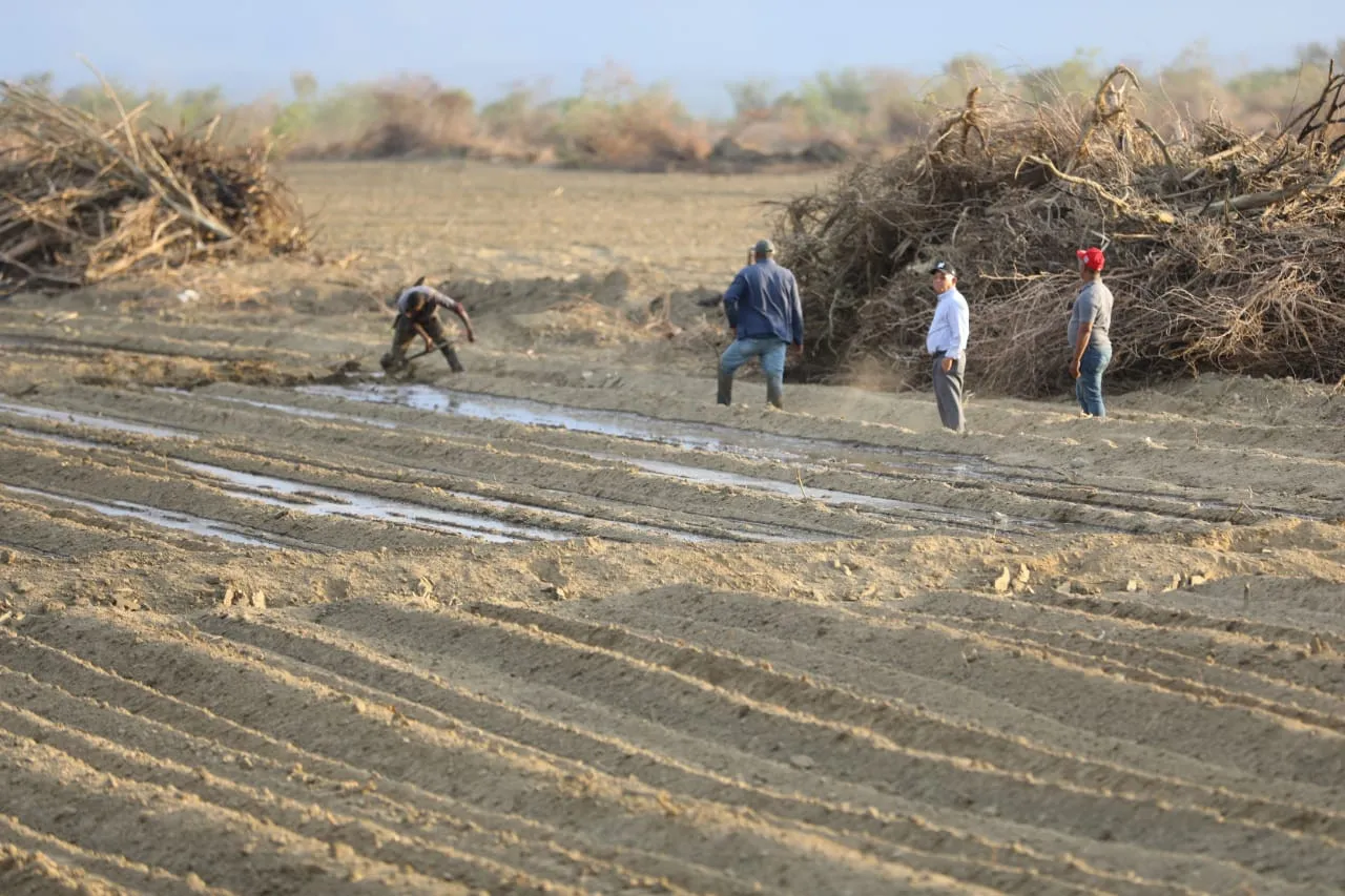 Gobierno asegura el rescate del proyecto agrícola La Cruz de Manzanillo