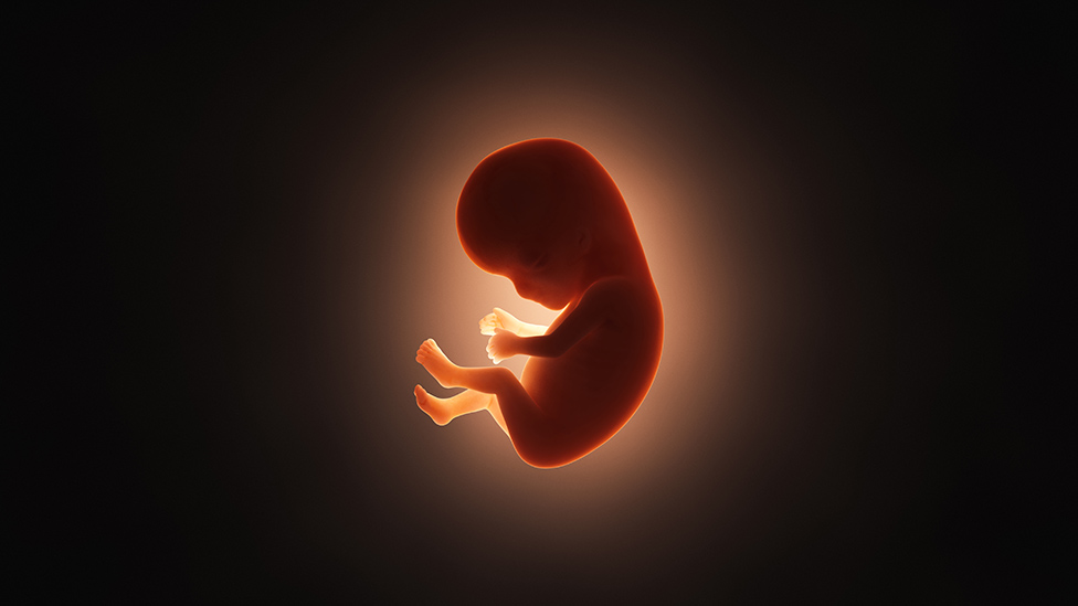 La gastrulación, la misteriosa etapa de la gestación que algunos consideran el momento más importante de nuestras vidas