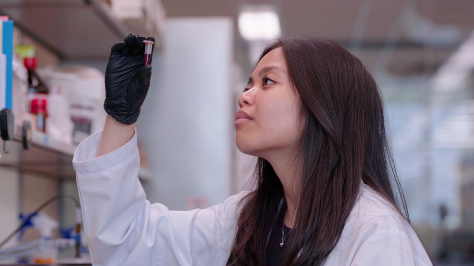 El nuevo antibiótico descubierto con inteligencia artificial que acaba con una especie mortal de superbacteria