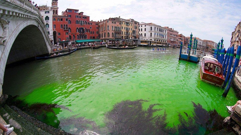 El misterio sobre cómo se tornó verde fosforescente el agua en un tramo de los canales de Venecia