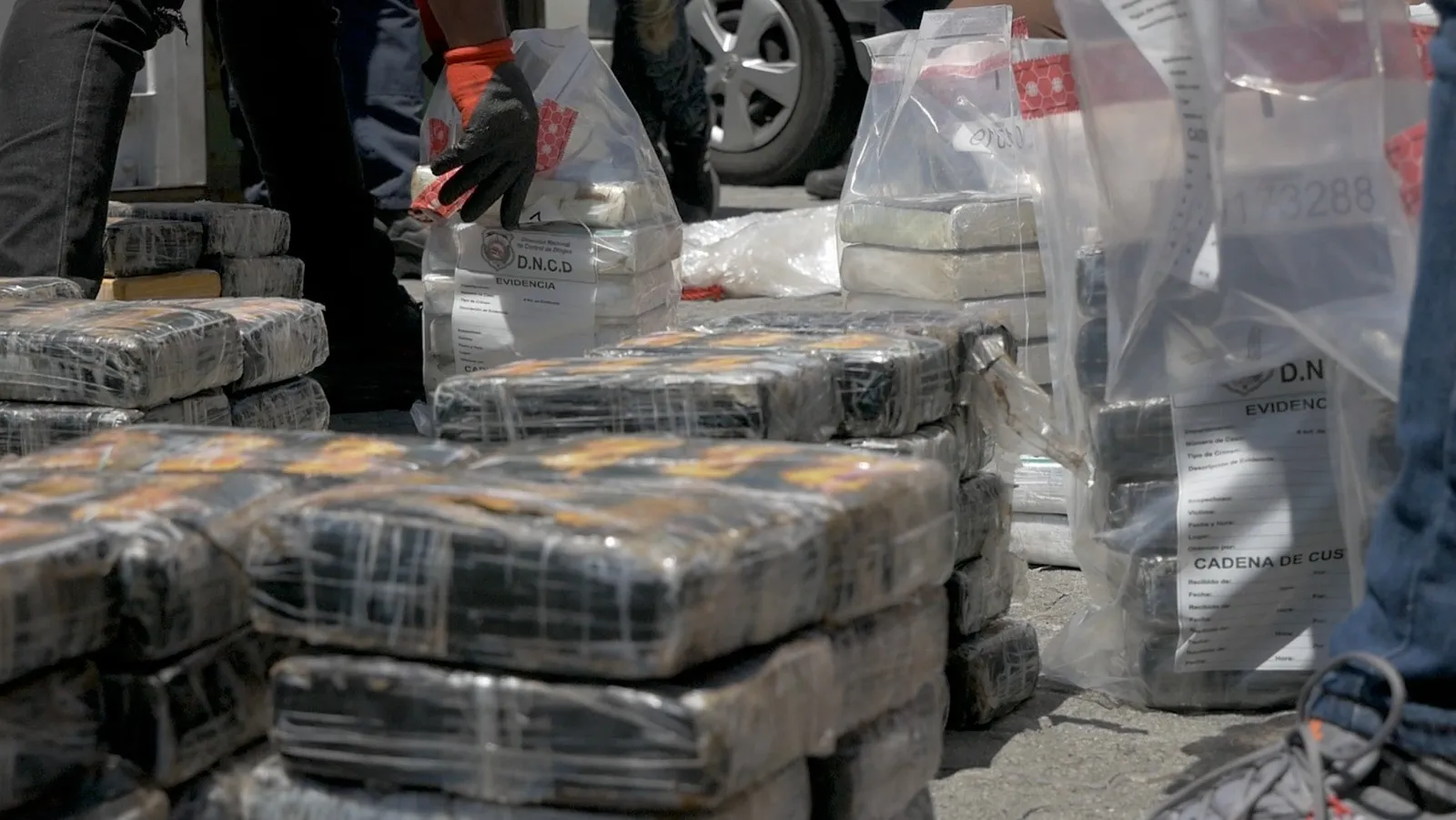 Confiscan 728 paquetes de cocaína en Puerto Caucedo