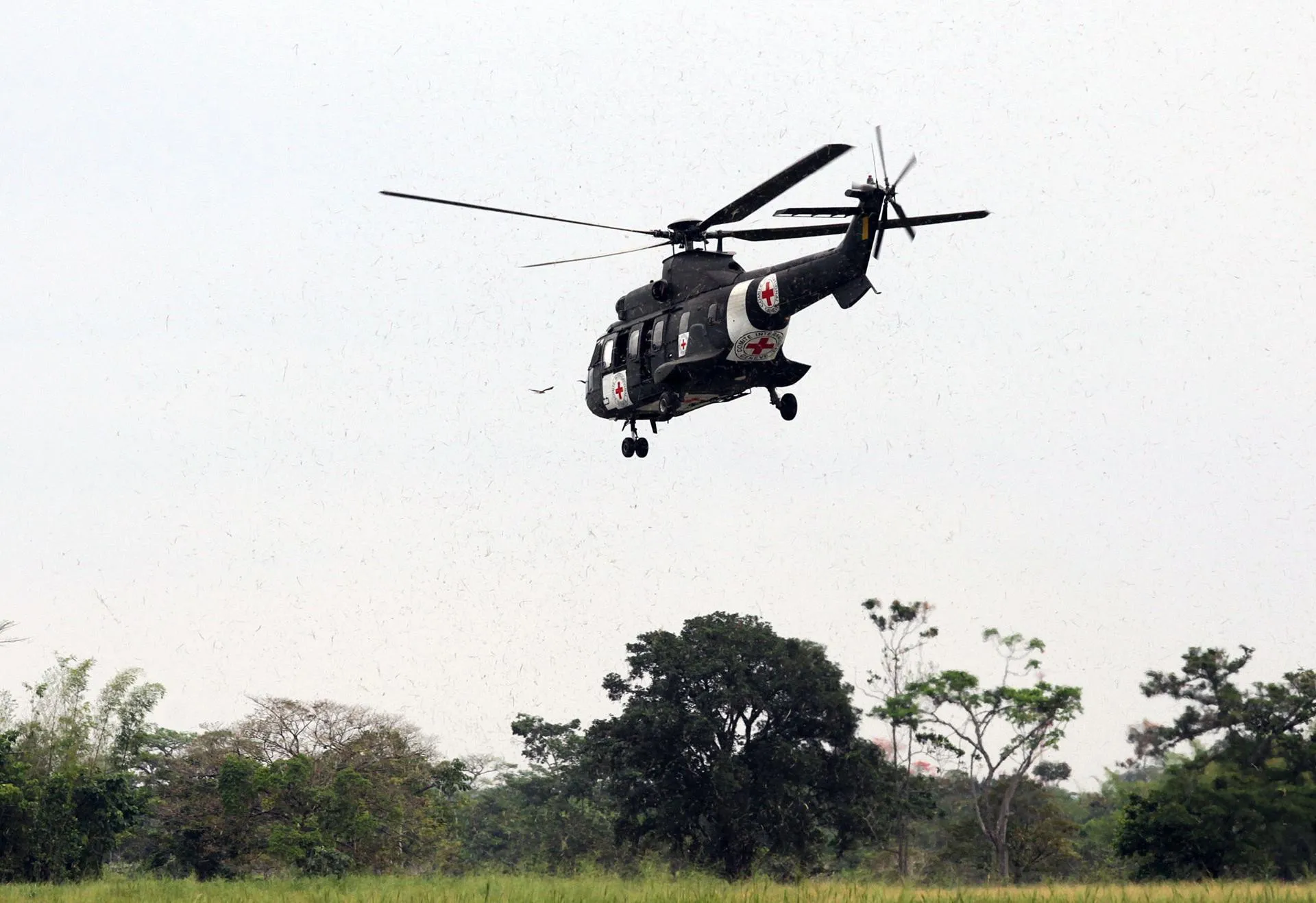 Fuerzas militares aún no confirman hallazgo de 4 menores tras accidente aéreo en Colombia