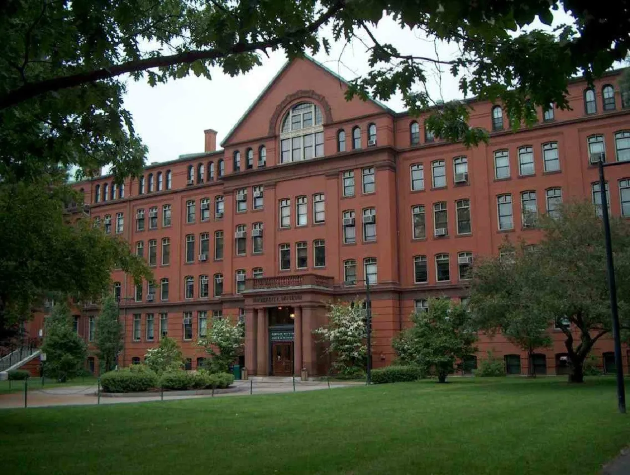 Universidad de Boston establece fondo de investigación en honor a dos francomacorisanos