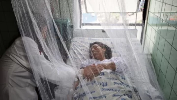 Dengue en Perú: el pico histórico de la epidemia pone en evidencia las fallas estatales