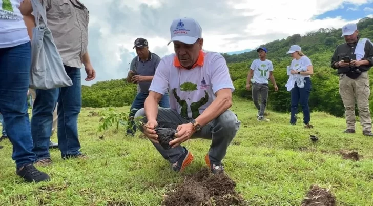 Ministerio de Agricultura afirma siembra más de mil plantas en San Cristóbal