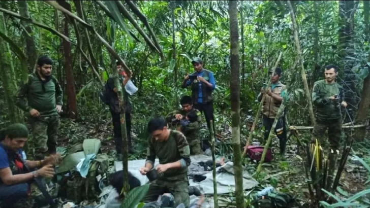 Hallan con vida a los cuatro niños perdidos hace 40 días tras accidente aéreo en Colombia