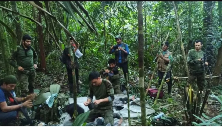 Hallan con vida a los cuatro niños perdidos hace 40 días tras accidente aéreo en Colombia