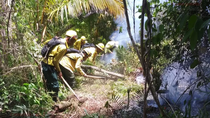 Incendio afectó 140 hectáreas de Cabo Cabrón, en Samaná
