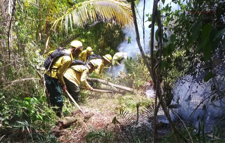 Incendio afectó 140 hectáreas de Cabo Cabrón, en Samaná