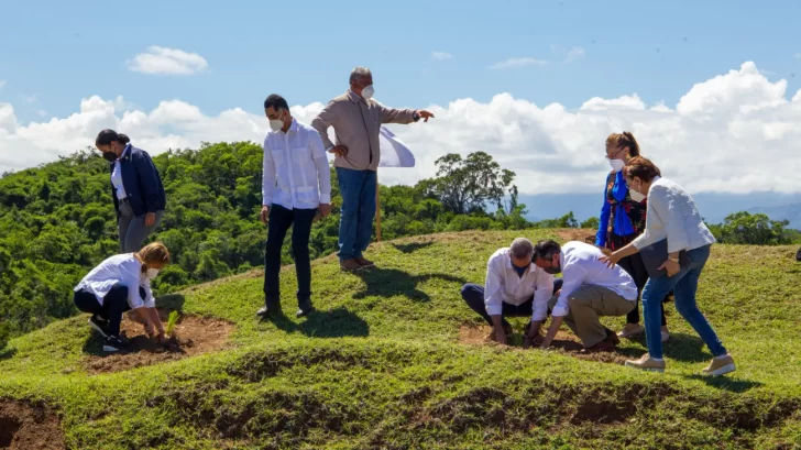 Comienza Plan de Reforestación con la siembra de miles de árboles en cuencas hidrográficas