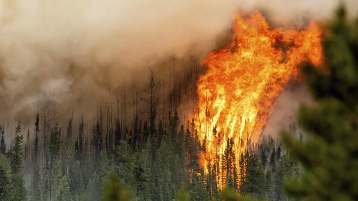 Canadá en llamas: más de 10 millones de hectáreas han sido arrasadas este año