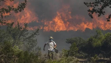 Incendios en Grecia: los voluntarios se esmeran para ayudar a las autoridades