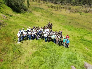 Alfridomsa, IBT Group y Parque del Prado realizan jornada de reforestación en Valle Nuevo