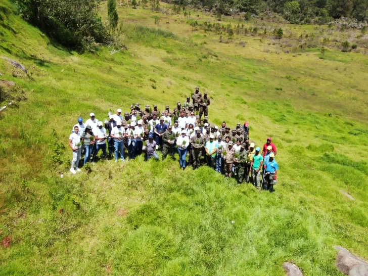 Alfridomsa, IBT Group y Parque del Prado realizan jornada de reforestación en Valle Nuevo