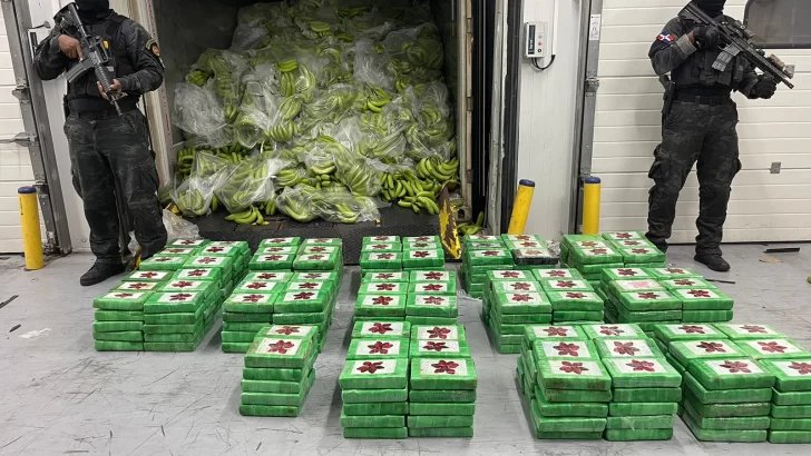 Decomisan 400 paquetes de cocaína camuflados en carga de guineos en Caucedo