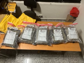 Incautan en un depósito del AILA 13 libras de marihuana enviada desde Miami