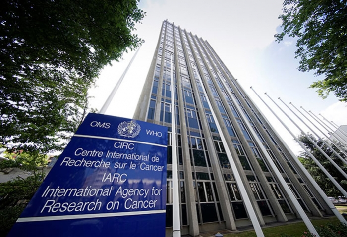 Instituto-Internacional-de-Investigaciones-sobre-el-Cancer-IARC