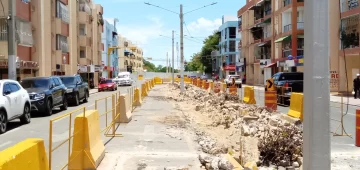 Cortan árboles de avenida Las Carreras para dar paso a estructura del monorriel