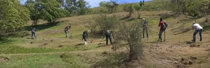 Plan de Reforestación sembró 93 mil 625 árboles en su primer mes