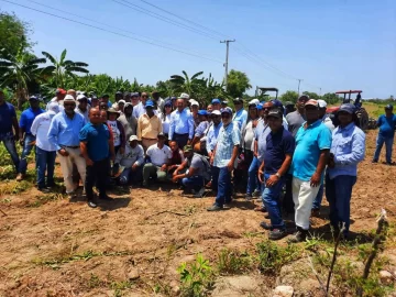 Agricultura inicia veda para eliminar cultivos de mosca blanca en Azua