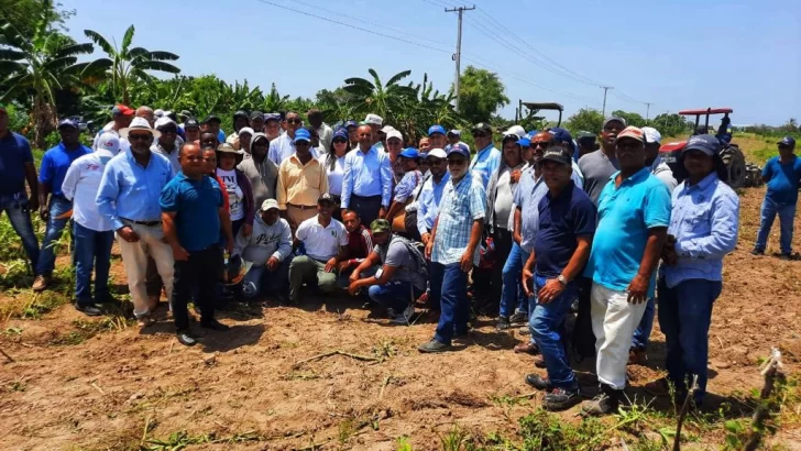 Agricultura inicia veda para eliminar cultivos de mosca blanca en Azua