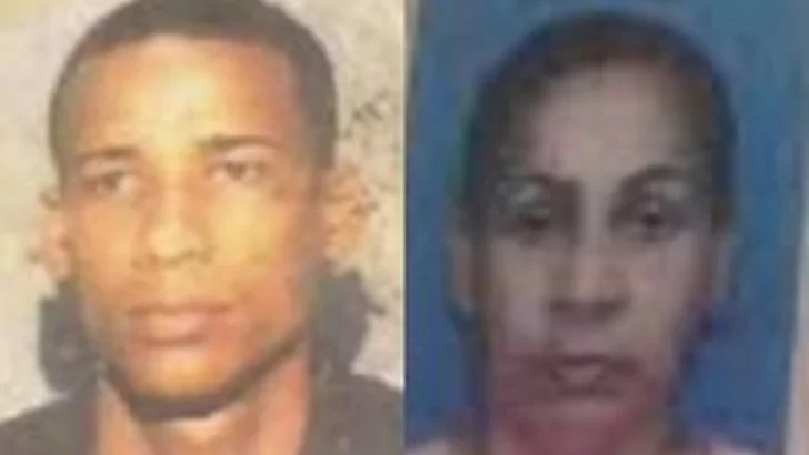 Condenado a 30 años por asesinar a su madre a machetazos