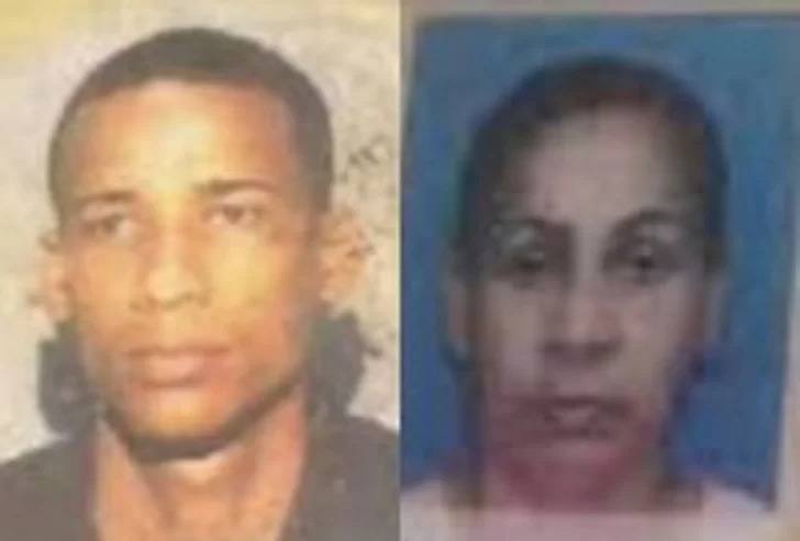 Condenado a 30 años por asesinar a su madre a machetazos