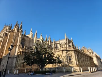 catedral-728x546