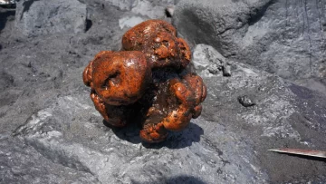 La piedra 