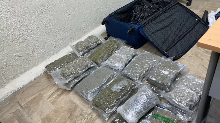 Confiscan marihuana en el Aeropuerto Internacional de Punta Cana