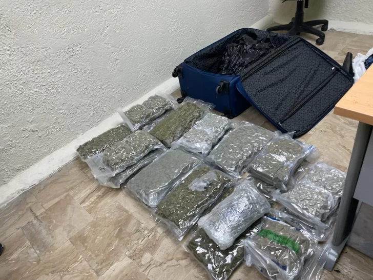 Confiscan marihuana en el Aeropuerto Internacional de Punta Cana