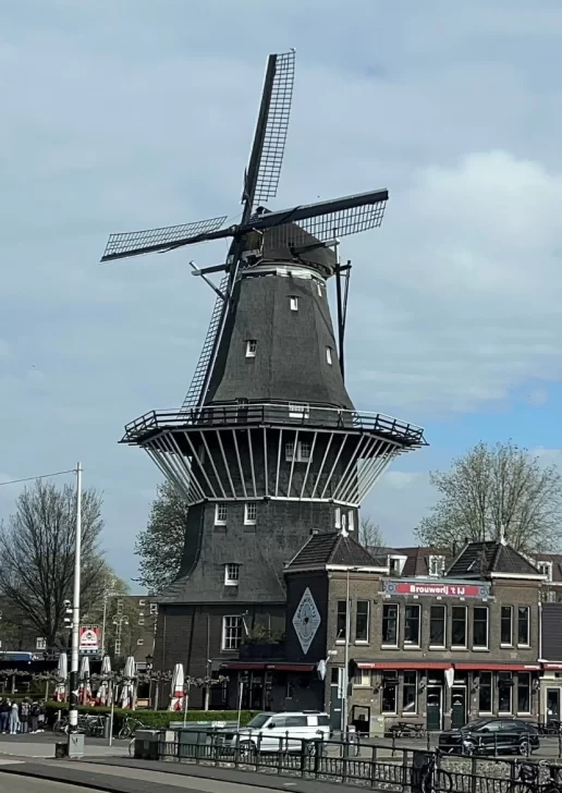 MOLINO-DE-VIENTO-HOLANDA-516x728