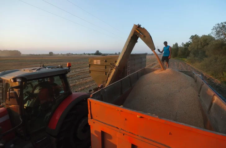 Un-agricultor-observa-como-una-cosechadora-vierte-grano-en-un-camion-en-un-campo-cerca-de-Kiev-Ucrania-Foto-EFE-728x479
