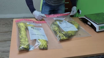 Hallan cocaína camuflada en una silla de ruedas en el aeropuerto de La Altagracia