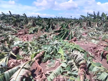 Agricultura evalúa  daños causados por tornado en comunidades de La Vega