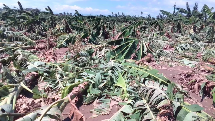 Agricultura evalúa  daños causados por tornado en comunidades de La Vega