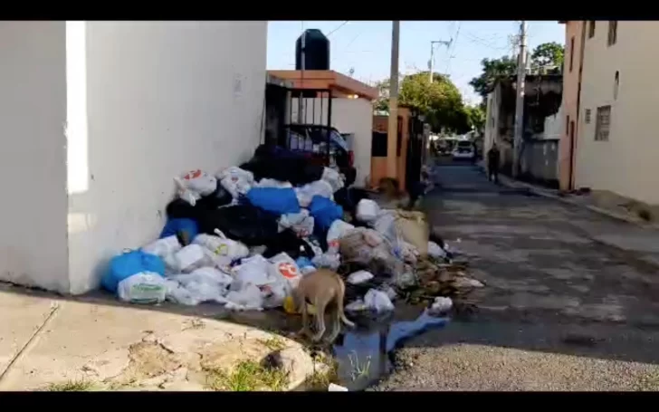Deficiente Recogida de Basura en el Ensanche Isabelita, Santo Domingo Este
