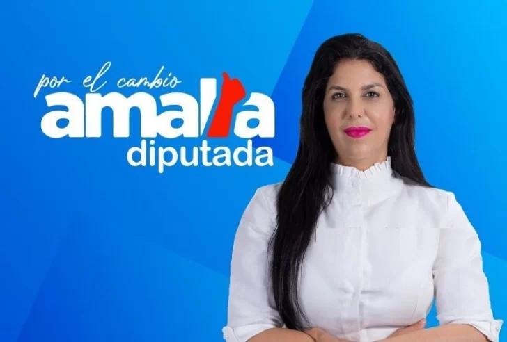 Rechazan posibilidad de reelección de la procesada diputada Amalia Pilarte